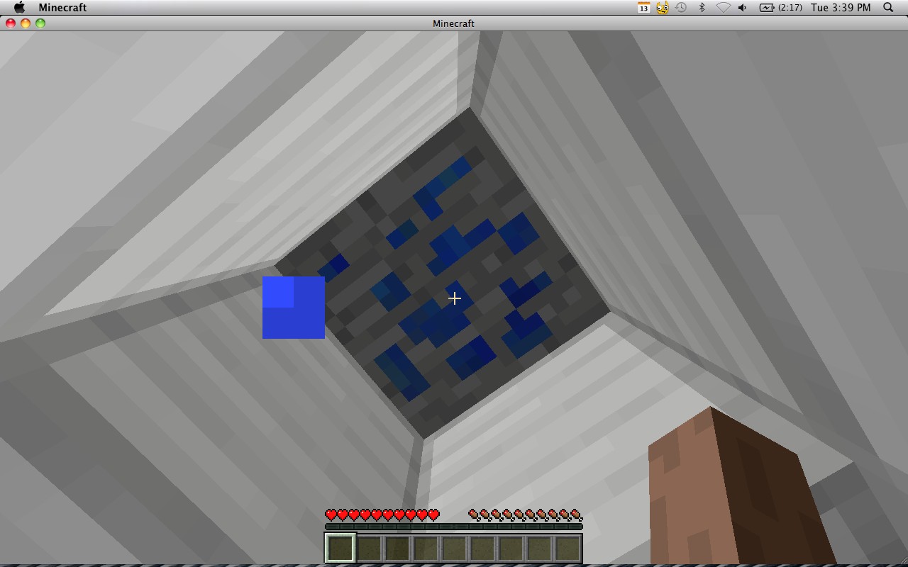 Shower Minecraft Project